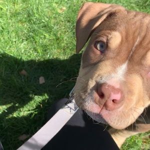 Meet your Posher, Carherine